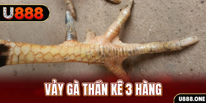 w888 nổ hũ đổi thưởng . ai