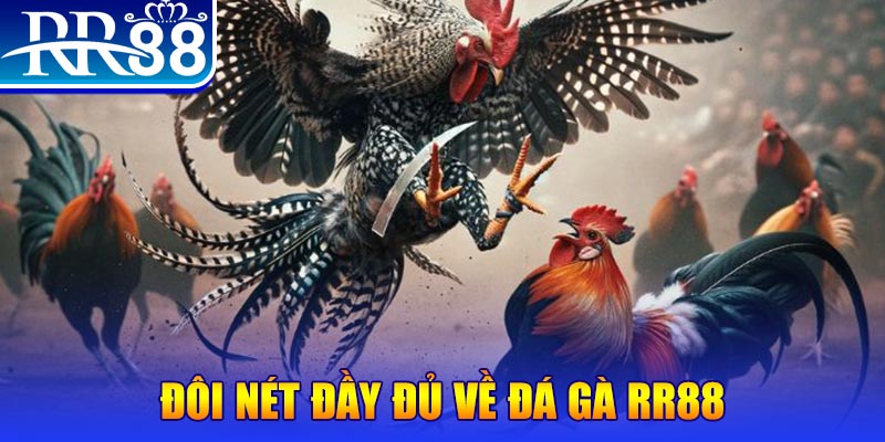 1 slot là gì