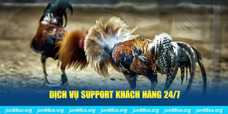 w888 Xóc Đĩa