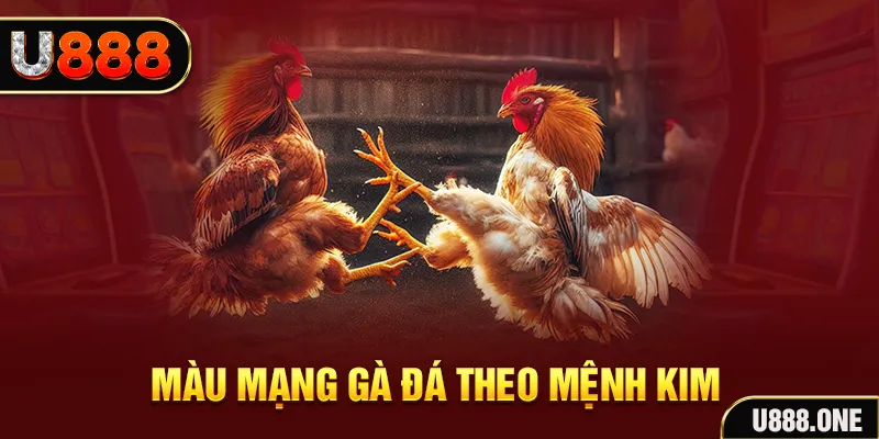w888 gà chọi tiêu phong
