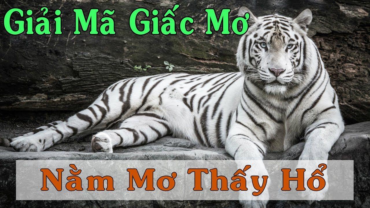 w888 xổ số miền trung