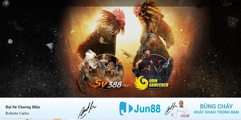 w888 xổ số miền nam hàng tuần