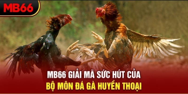 w888 long bảo trong baccarat là gì
