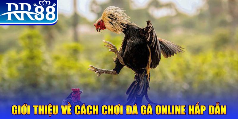 w888 nổ hũ 2 mặt là gì