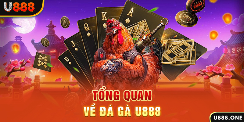 w888 chạy quảng cáo cho game bài bị phạt như thế nào